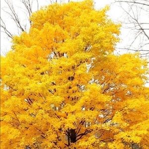 Meet your Posher, Val